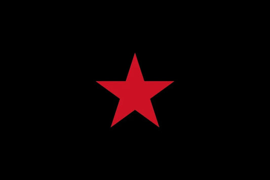 Zapatista Solidarity Flag